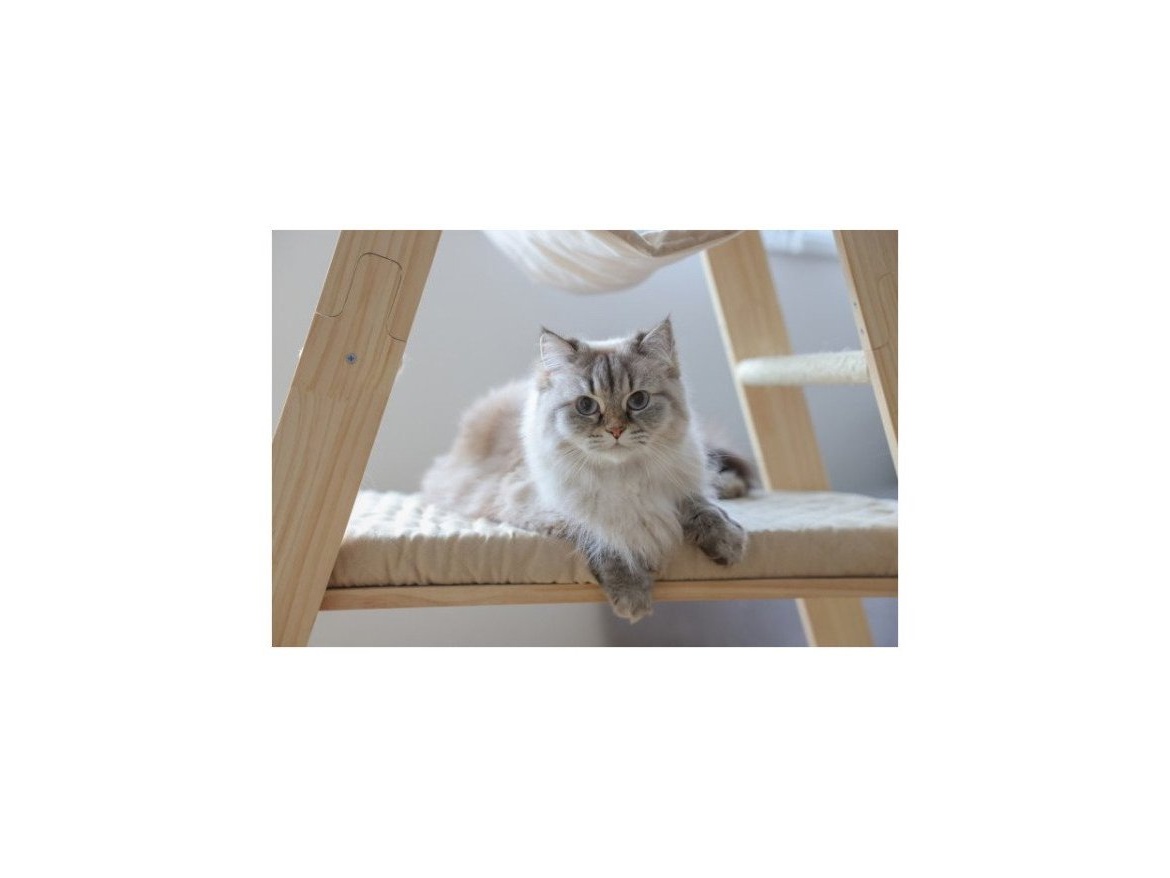 Scobax Schůdky pro kočky, 134 cm, béžová