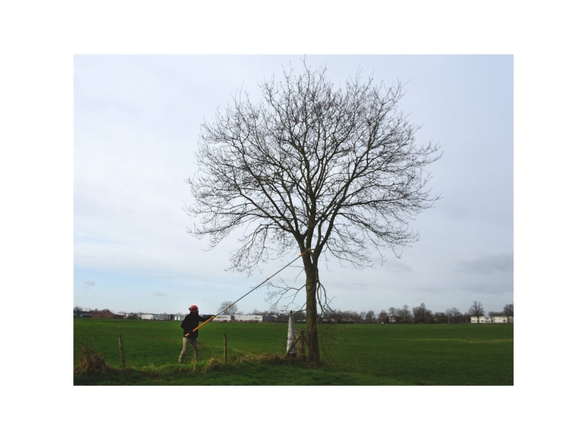 Teleskopická pila Silky Hayate 5000-6.5