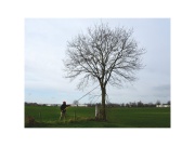 Teleskopická pila Silky Hayate 5000-6.5