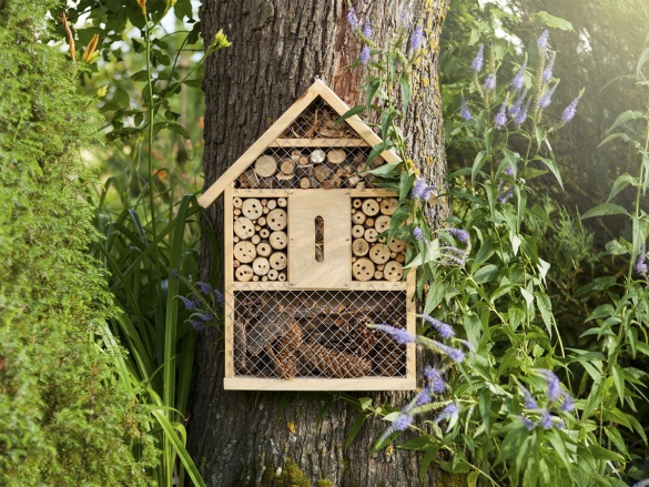 O hmyzím hoteliérství