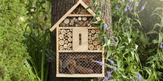 O hmyzom hotelierstve