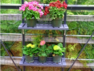 Garland – Polc Palram