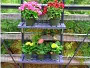 Police Palram Police