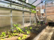 Hydroponický box Sensorie