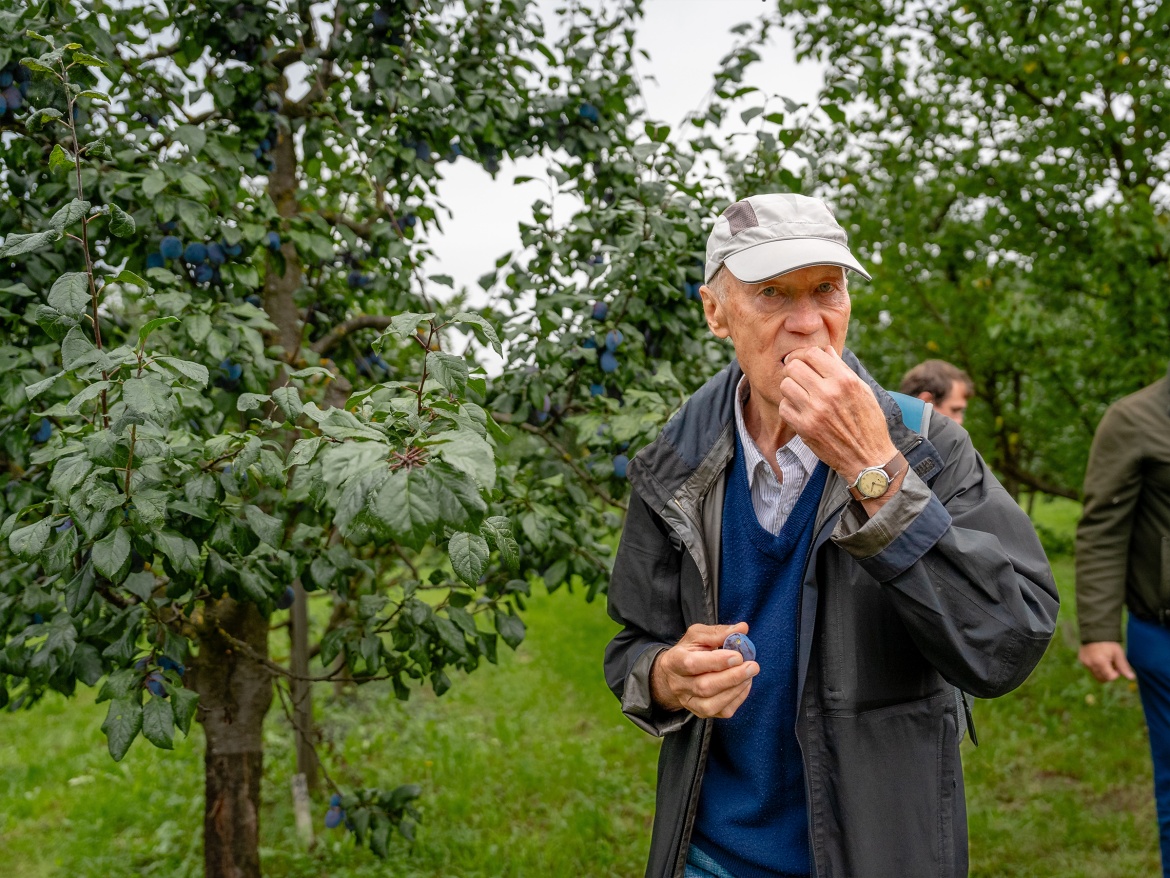 Autonóm üvegházunk egy hortibotanikus napon