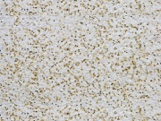 Fasádna farba Baumit Glitter