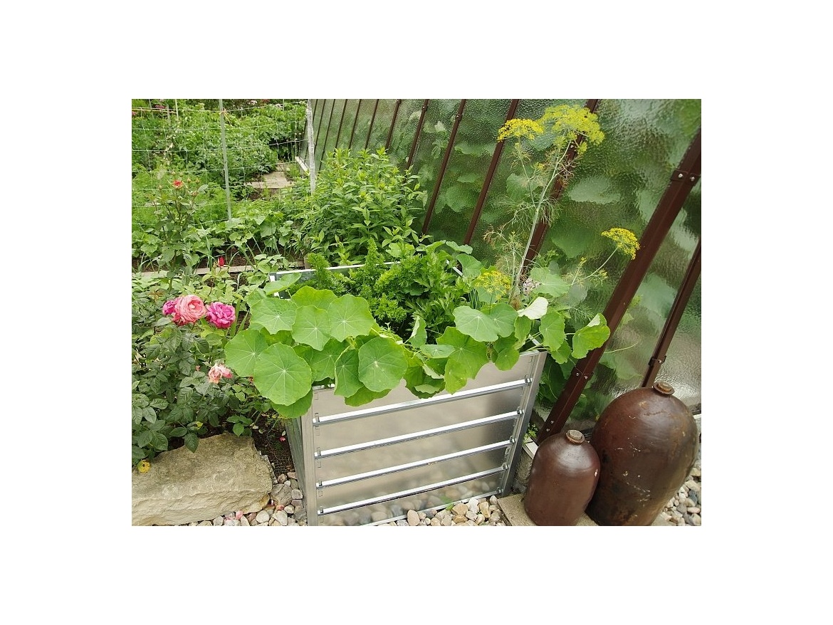 Scobax Vysoký záhon VZ