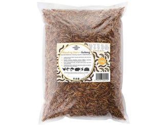 Macskák – Scobax Moučný červ 5 kg