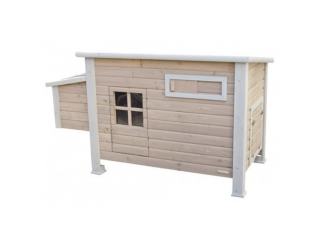 Hydina –  Scobax Tilly