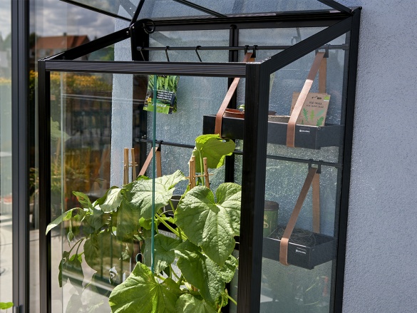 Erkélyes üvegház Juliana City Greenhouse