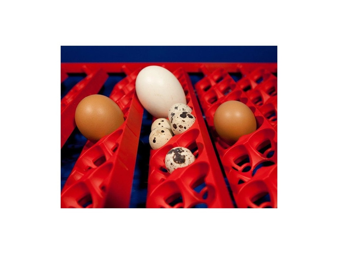 Scobax Automatická líheň na vejce BOROTTO REAL 49 AUTOMATIC