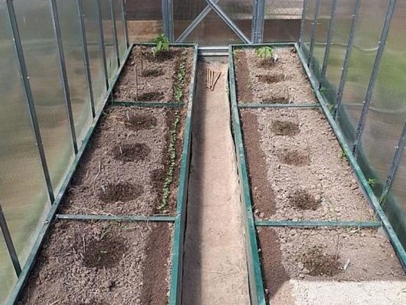 Skleník Volya Perchina