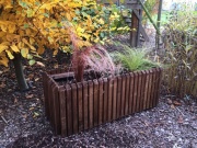 Truhlík Scobax Barcelona