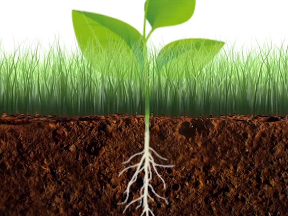 R1-2 Tornadica Kultivátor