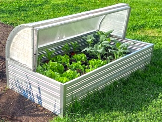 Pařeniště Scobax Chlebnica polykarbonát (4 mm), 1,8 x 0,9 m