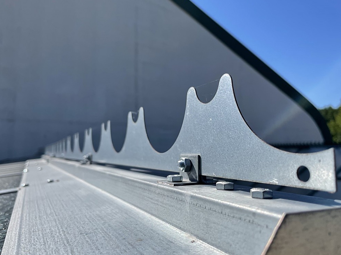 Limes Hrebeňová dekorácia Variant