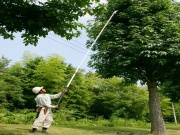 Teleskopická píla Silky Teleskopická pila Hayauchi 3670-6.5