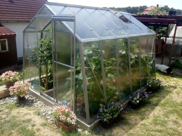 Skleník Limes Hobby