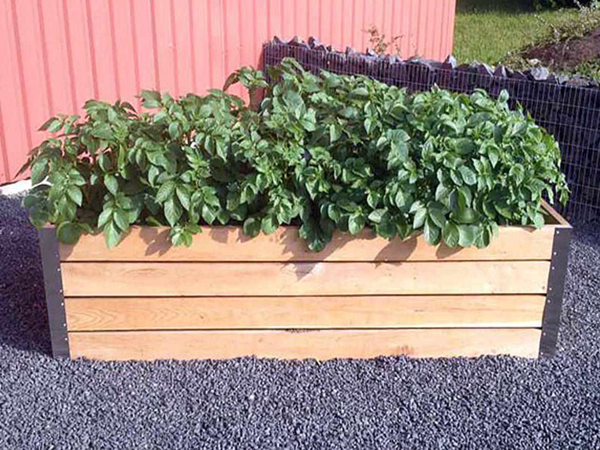 Den Braven Olej Sct. Croix