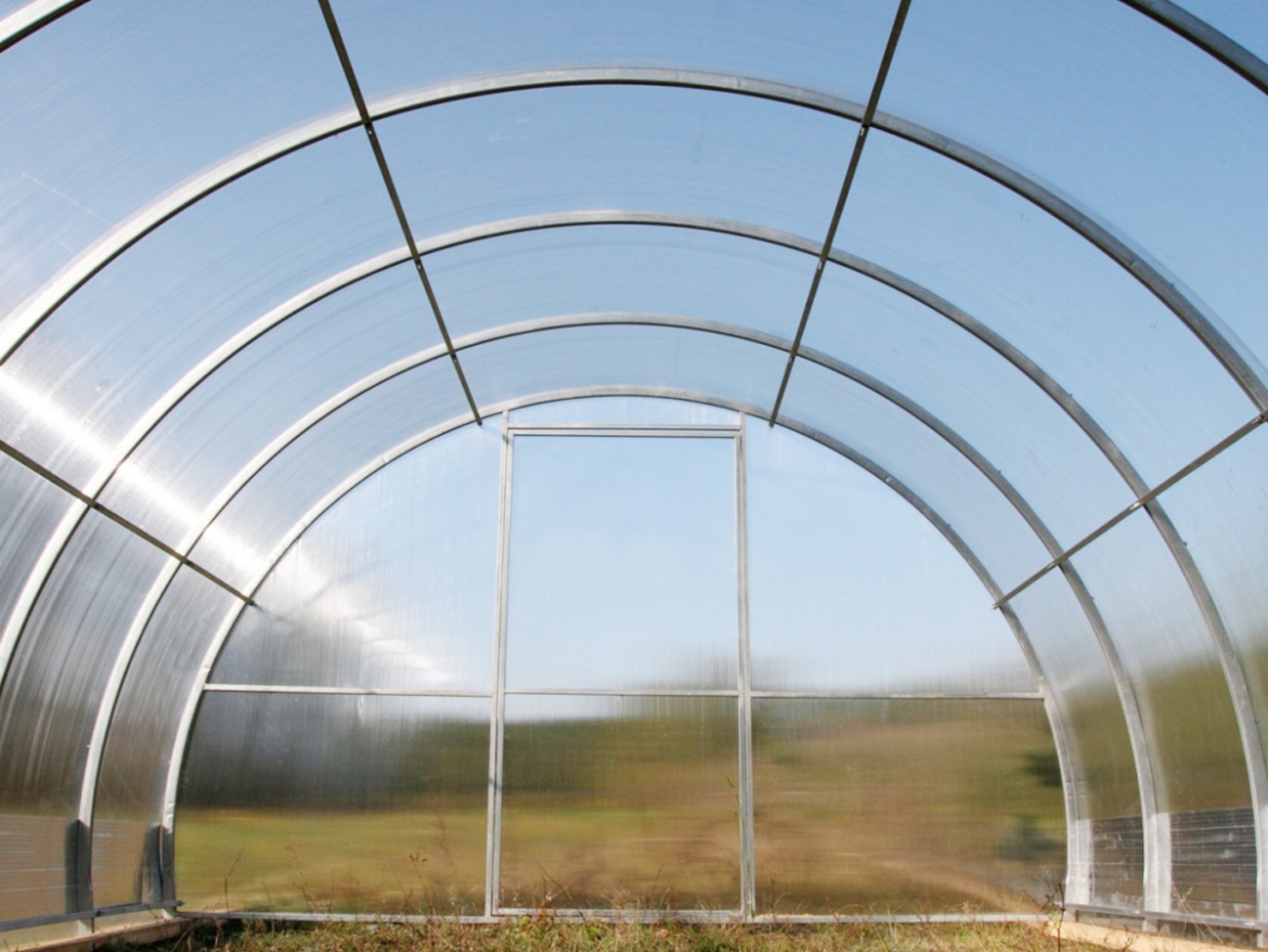 Lanit Plast Dodo 330