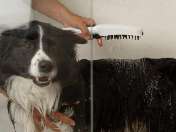 Ravak 949.10WHM Ručná sprcha pre psov, 4 funkcie, biela matná