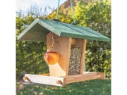 Scobax Dřevěné ptačí krmítko Bird Dream