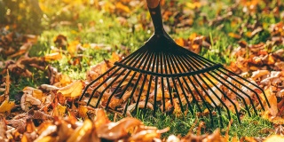 Kompletní průvodce zazimováním zahrady