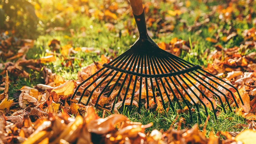 Kompletní průvodce zazimováním zahrady