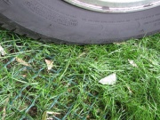 Tenax Zatravňovací rohož TR