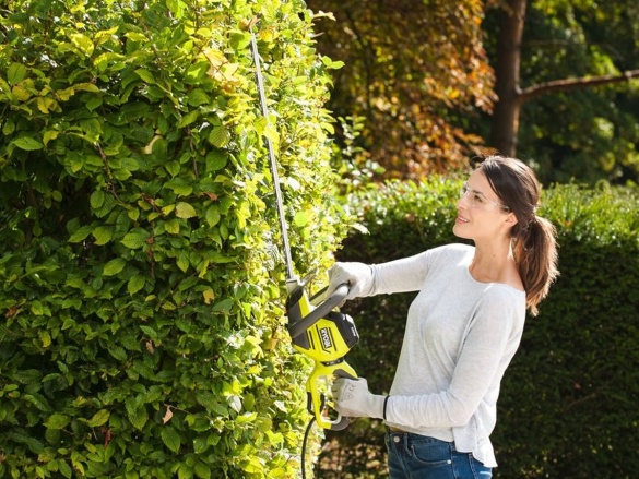 Plotostrih Ryobi Plotostřih RHT5655RS