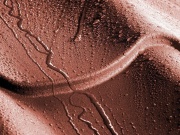 Taškový plech Budmat Zefir