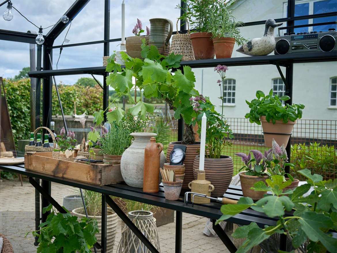 Klasszikus üvegház Juliana Jubii 60