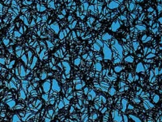 Tetőfólia –  Gutta Guttatren