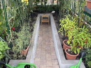 Skleník Limes Primus