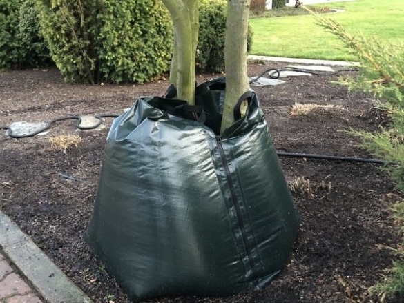 Bradas Zavlažovací vak na stromy 85l  KTTZ75/50