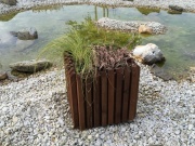 Truhlík Scobax Barcelona