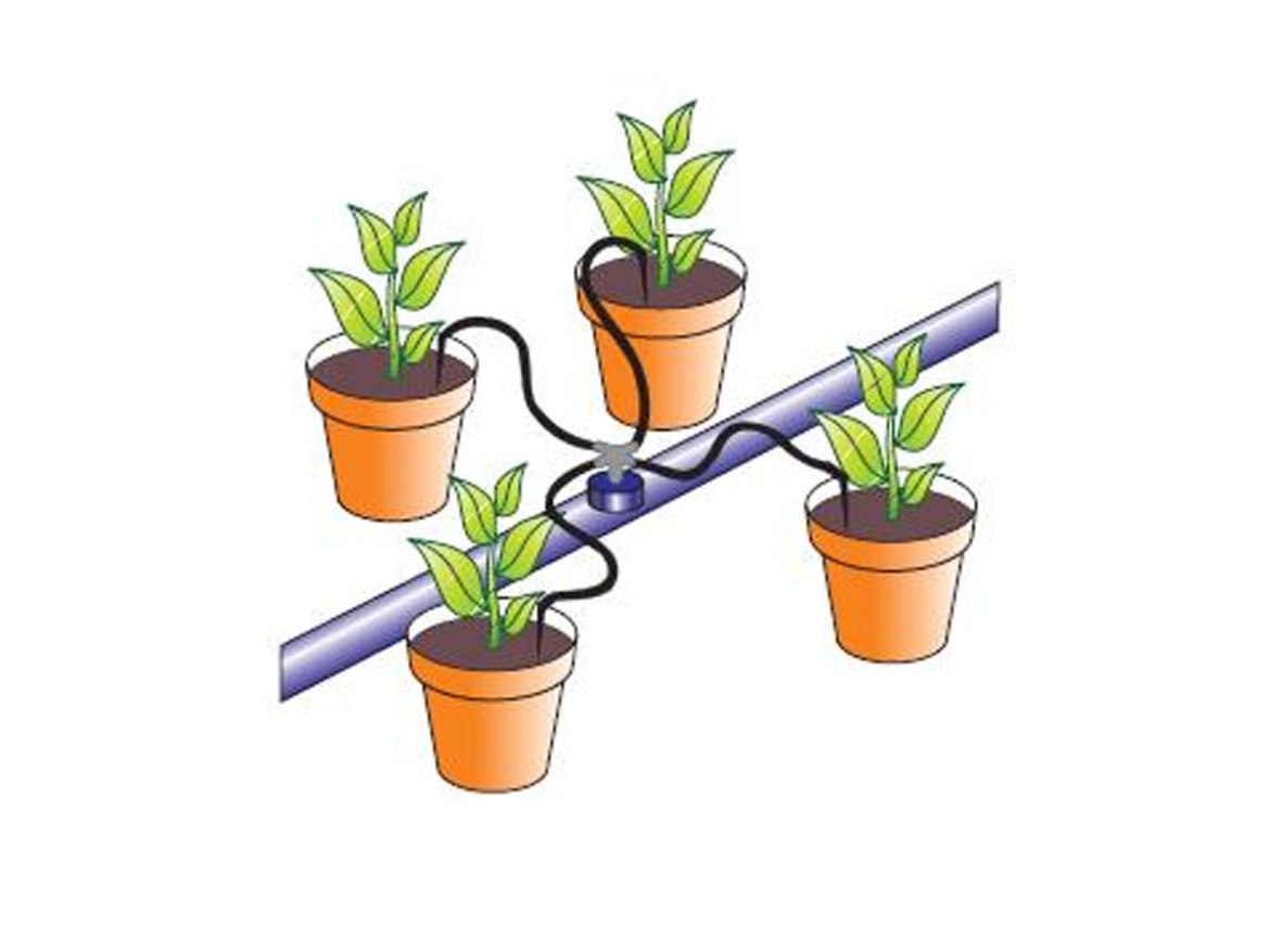 Kapková závlaha Scobax S