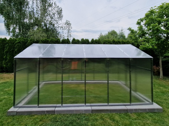 Üvegház Scobax Penny