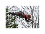 Ívelt, rögzített pengével ellátott fűrész Silky Zübat Ultimate 330-7.5-6.5