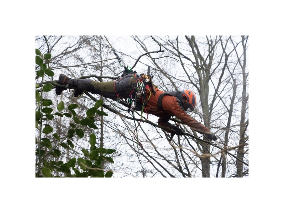 Píla so zahnutou pevnou čepeľou Silky Zübat Ultimate 330-7.5-6.5