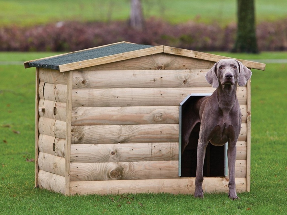 Darčeková poukážka Buildex