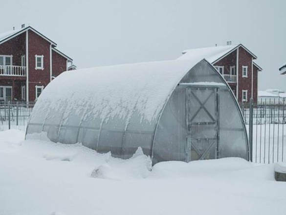 Üvegház Volya Strelka