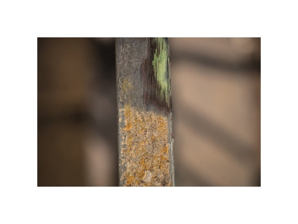 Pre MRS 1300 Scheppach Ocelový drátěný kartáč