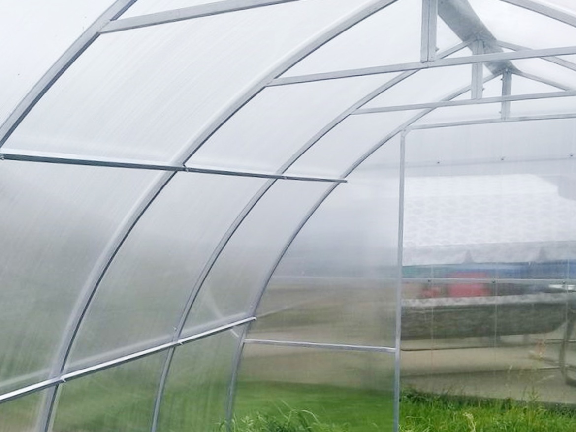 Skleník Scobax Violik