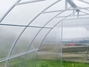 Skleník Scobax Violik