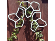 Tessa Flower opora pro rostliny ECOO