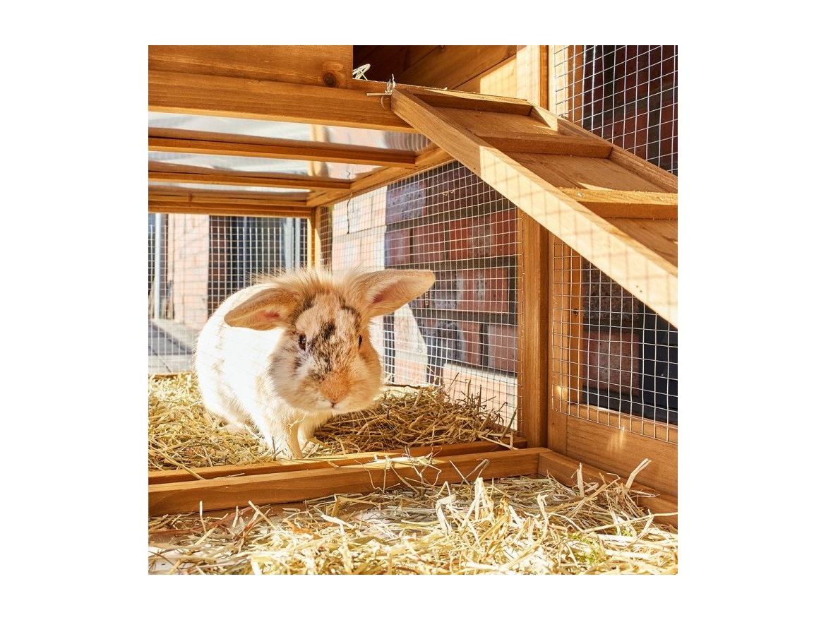 Fa nyúlketrec Scobax Deny