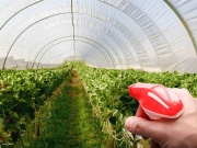 Zbohom škodcovia alebo dezinfekcia skleníka