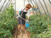 Skleník Volya Strelka