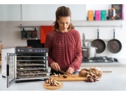 G21 Sušička ovoce  Breezer, nerez